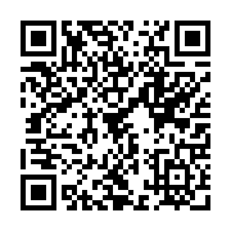QR code for PAT4243
