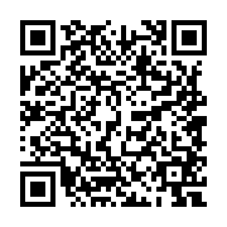 QR code for PAT9446