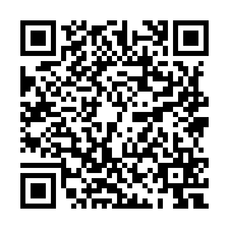 QR code for PAY9656