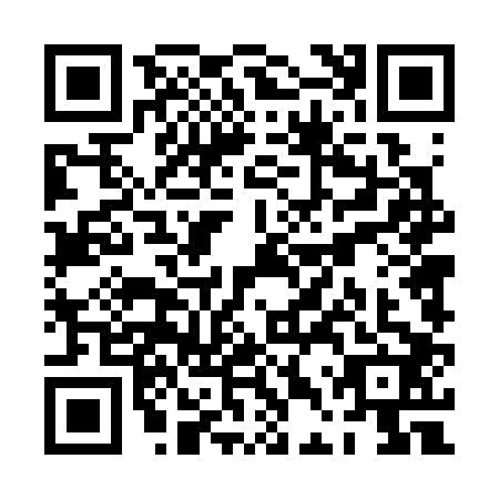 QR code for PDT-3029