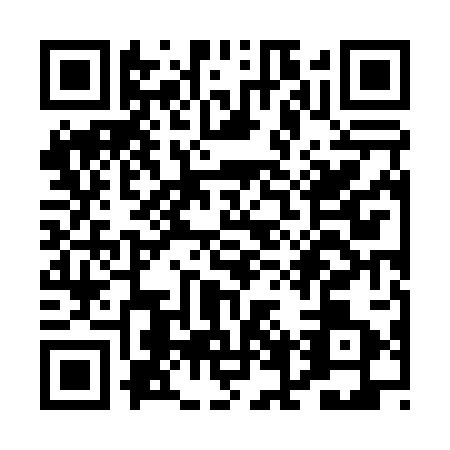QR code for plate PFZ-0038