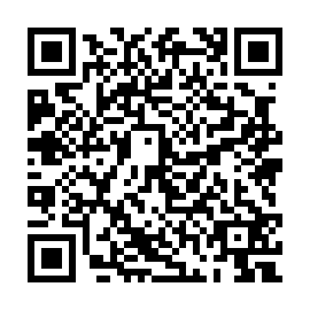 QR code for plate PGM-0220