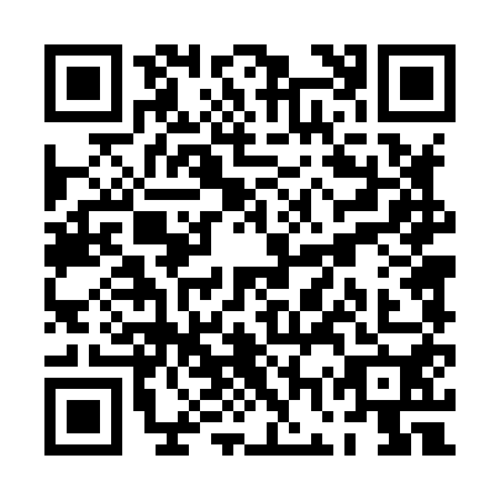 QR code for plate PGT-8509