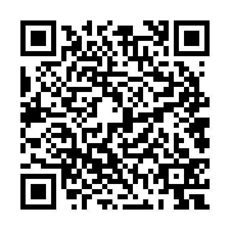 QR code for plate PGV-2339
