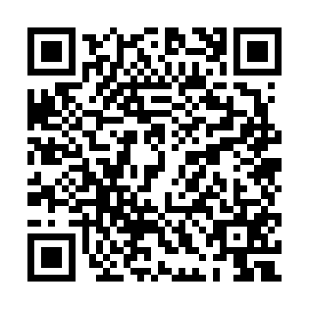 QR code for PHO-6550
