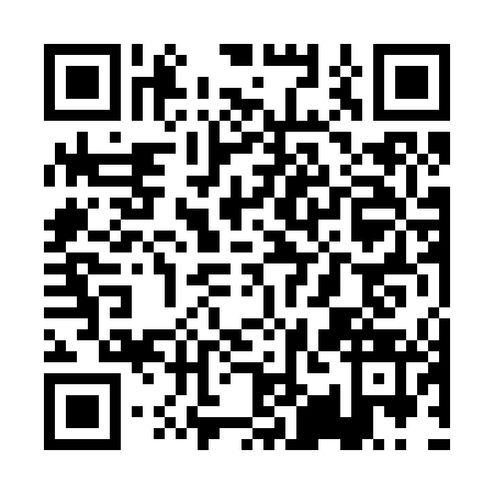 QR code for PIN2438