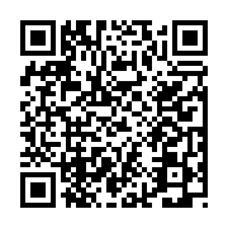 QR code for PIR0498
