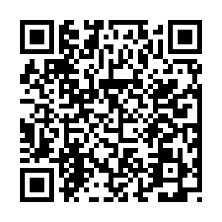 QR code for plate PJB-9991