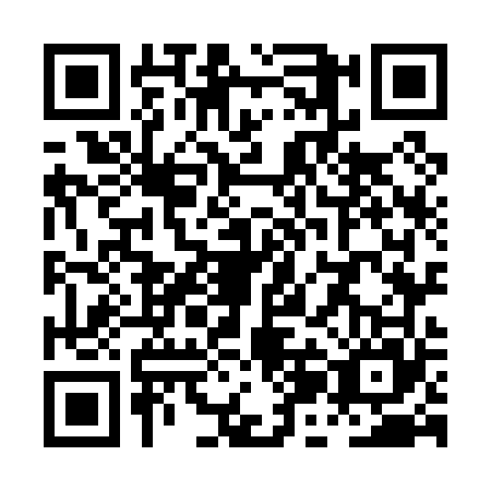 QR code for PJO-0653