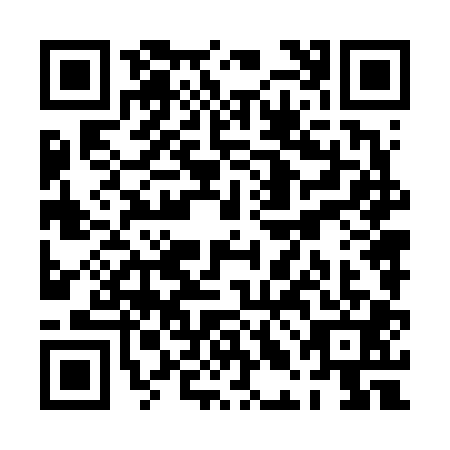 QR code for PLN-6011