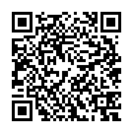 QR code for PLZ6383