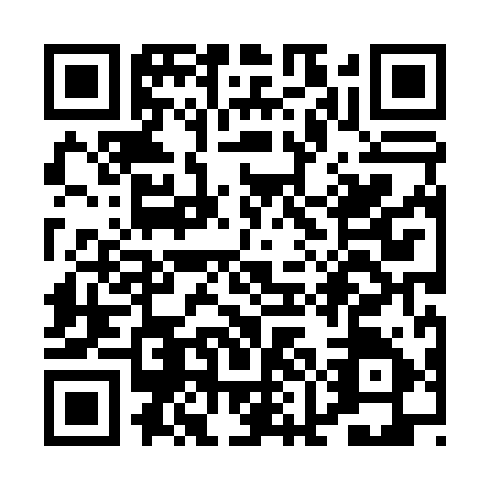 QR code for PMH0950
