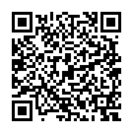 QR code for PMS-4904