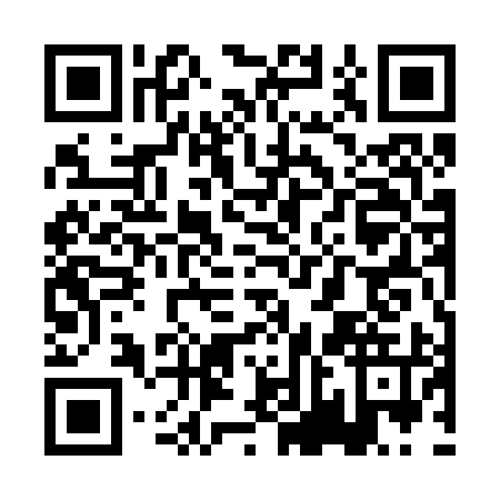 QR code for PNE-2951