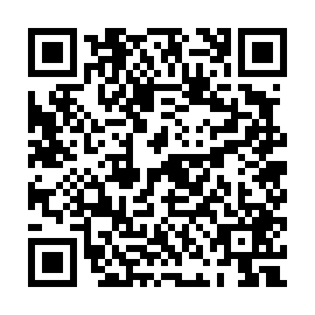 QR code for PNG-4493