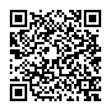 QR code for POO-0339