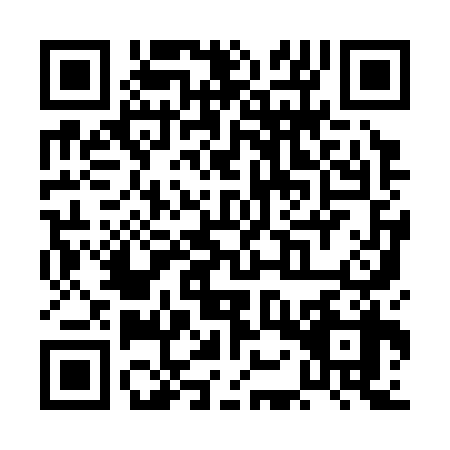 QR code for POY-3383