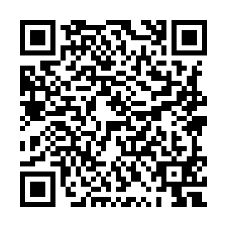 QR code for PPI9911