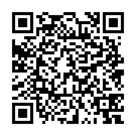 QR code for PPP-6389