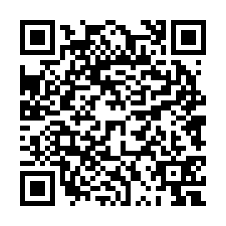 QR code for PPT2317