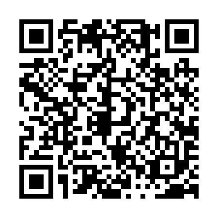 QR code for PPT2938