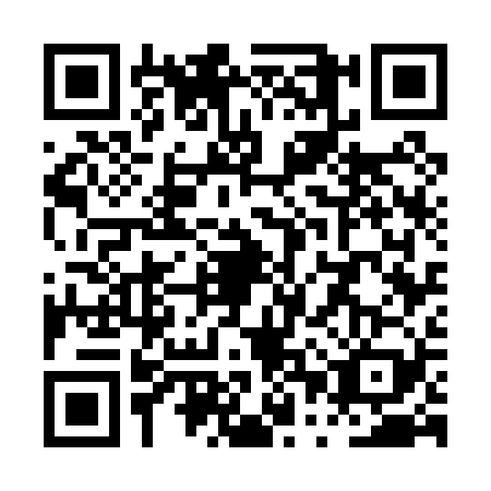 QR code for plate PPW-0291