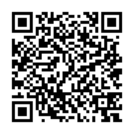 QR code for plate PQE-5385