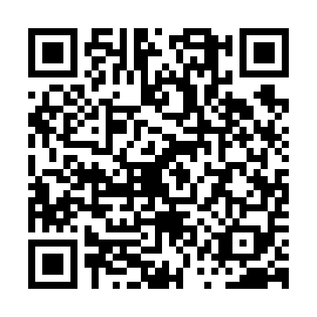 QR code for PQQ-6596