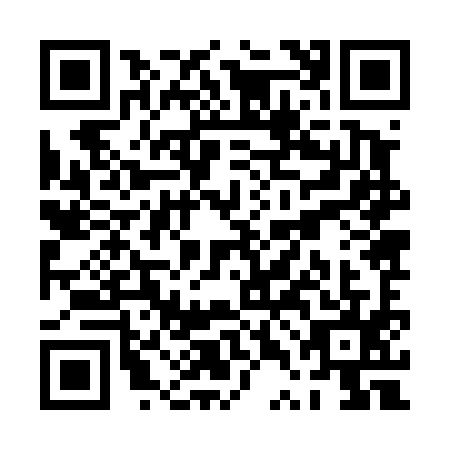 QR code for plate PTJ-4955