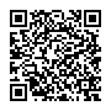 QR code for PUP4294
