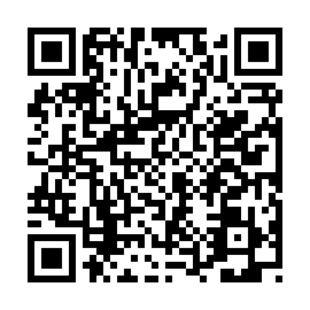 QR code for PUZ8191