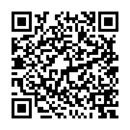 QR code for PYS-8596