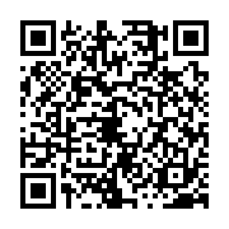 QR code for PYU3333