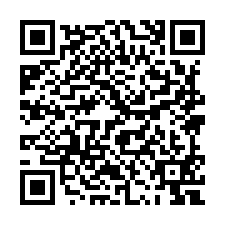 QR code for PZI-9913