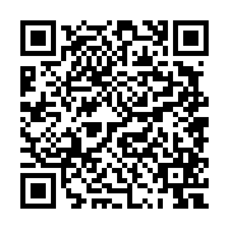 QR code for PZN-4453