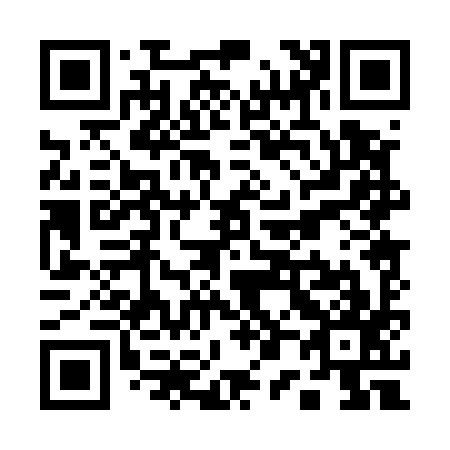 QR code for Q00597