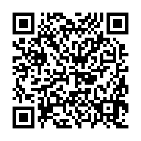 QR code for Q03294