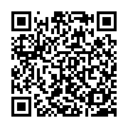 QR code for Q03325