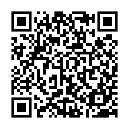 QR code for Q03504