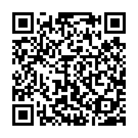 QR code for Q04699