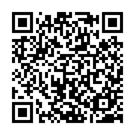 QR code for Q06207