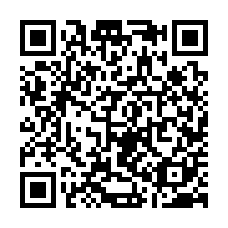 QR code for Q06301