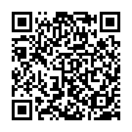 QR code for Q06310