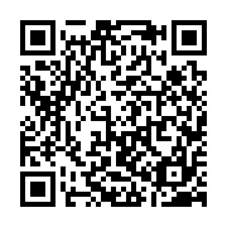 QR code for Q06317