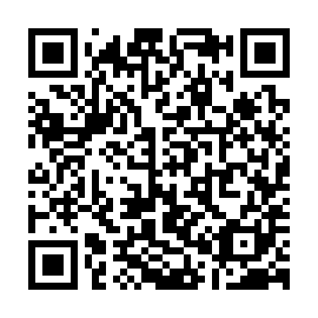 QR code for Q07381