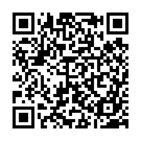 QR code for Q07667