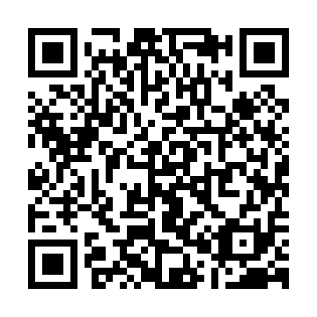 QR code for Q09011