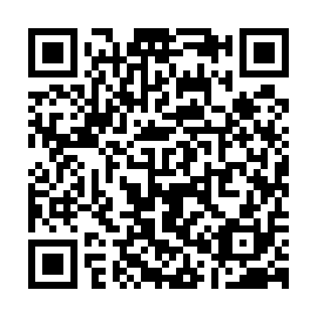 QR code for Q09510
