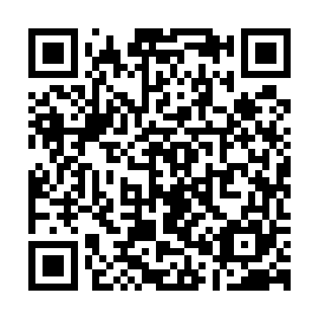 QR code for Q09565