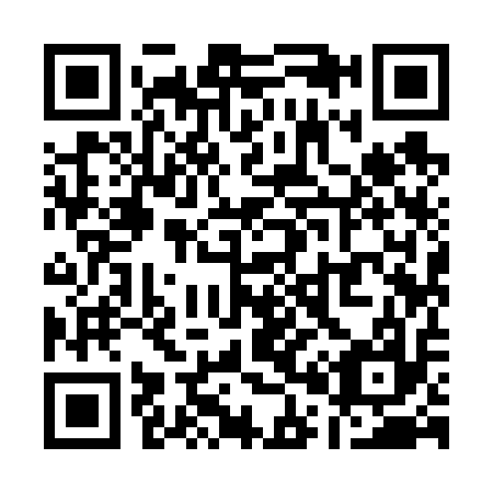QR code for Q09617